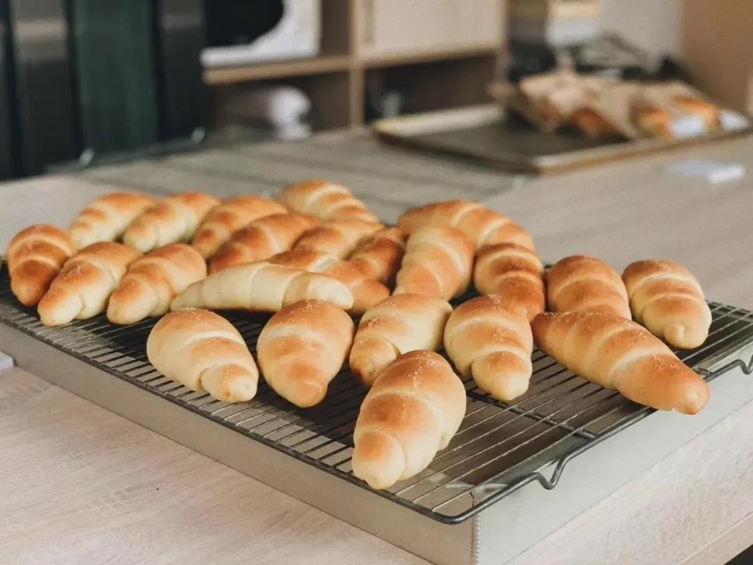 中山风景打卡点,广州秋游野餐好去处