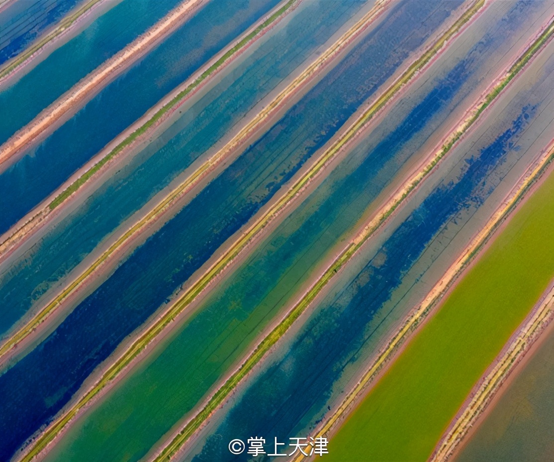 潍坊滨海七彩盐田,七彩盐田航拍