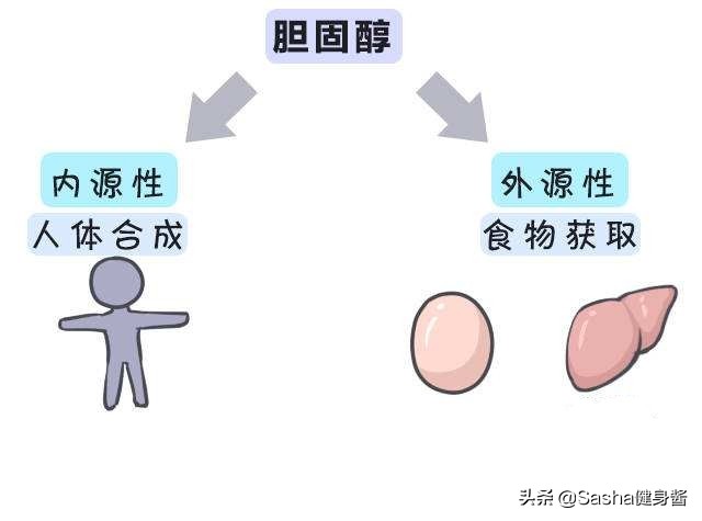 鸡蛋减肥的正确做法,鸡蛋减肥法更适合懒人的减肥方法