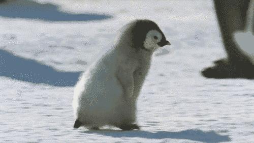 马鞍山出台惠民19条,马鞍山现在政策