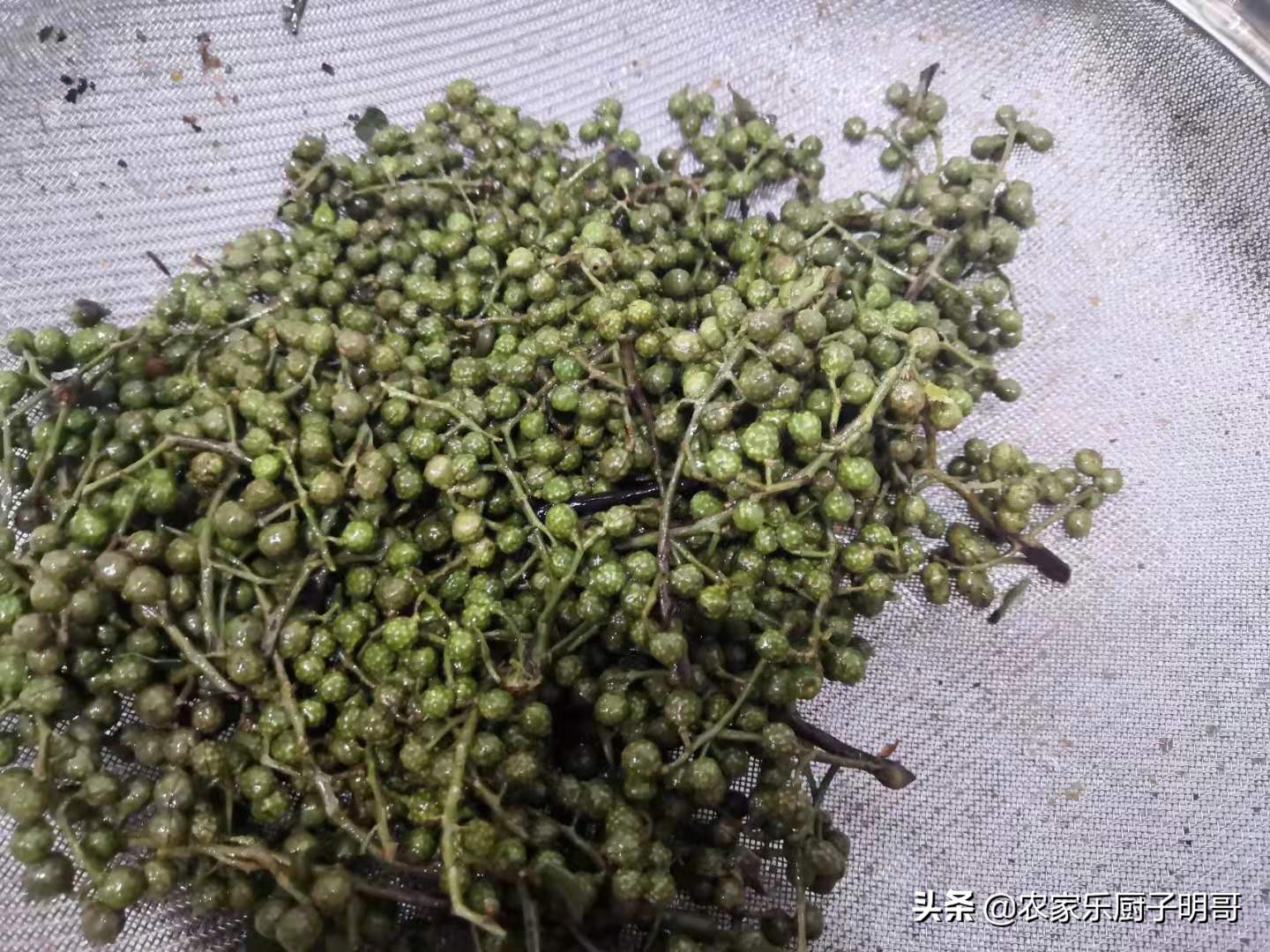 正宗四川麻香鱼的做法大全,椒麻鱼的正宗四川做法