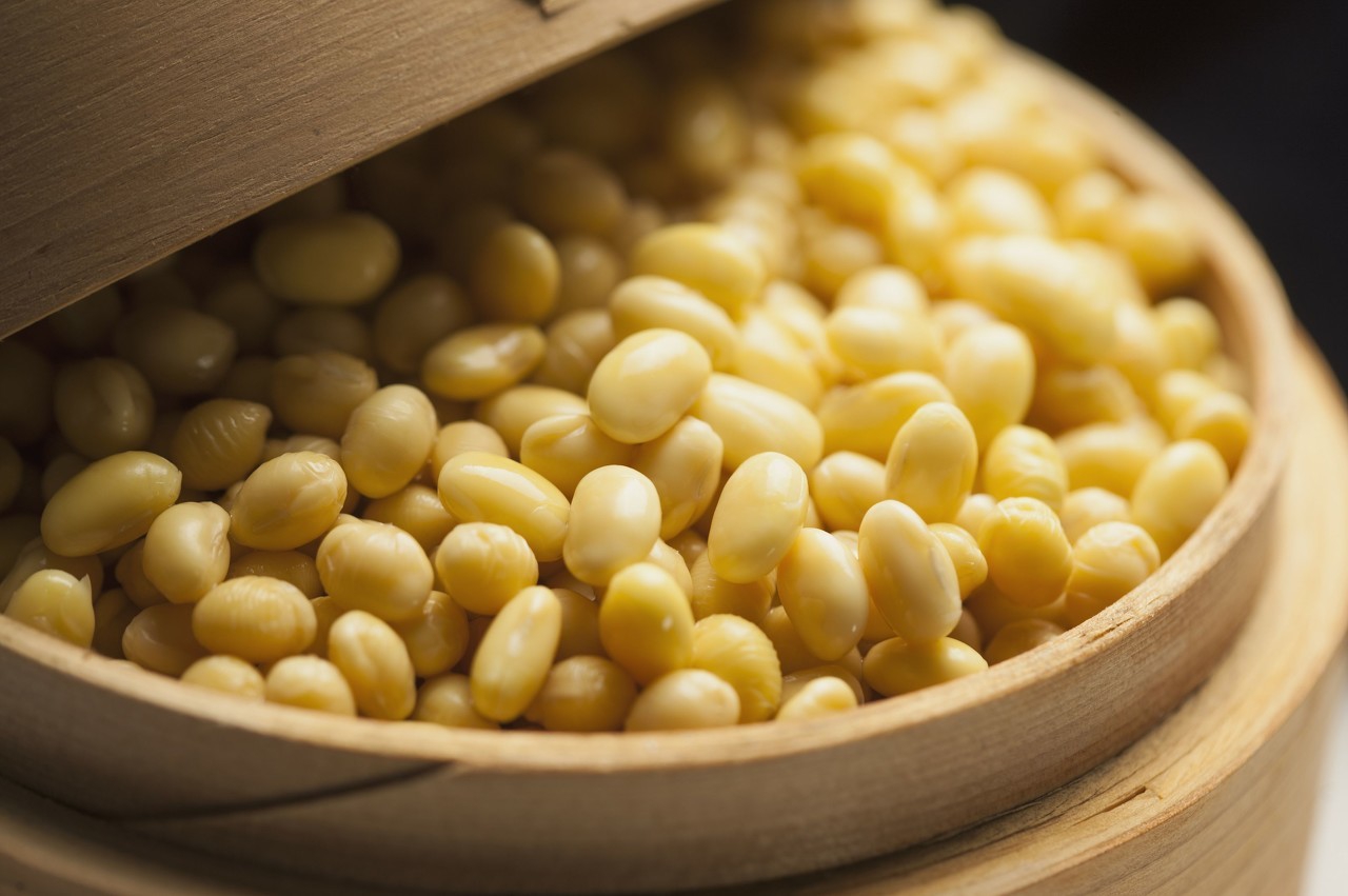 东北大豆最新价格及后市分析,东北大豆近期行情