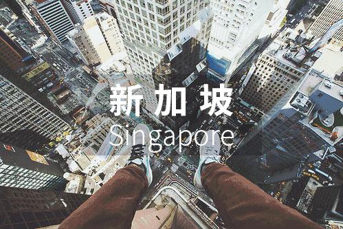 新加坡购物攻略必买清单,新加坡购物必买清单及价格