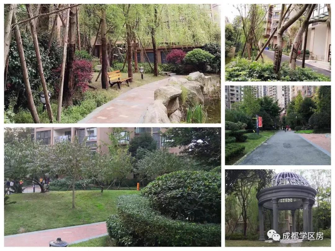 天府新区第五小学待遇,天府新区第五小学对口中学