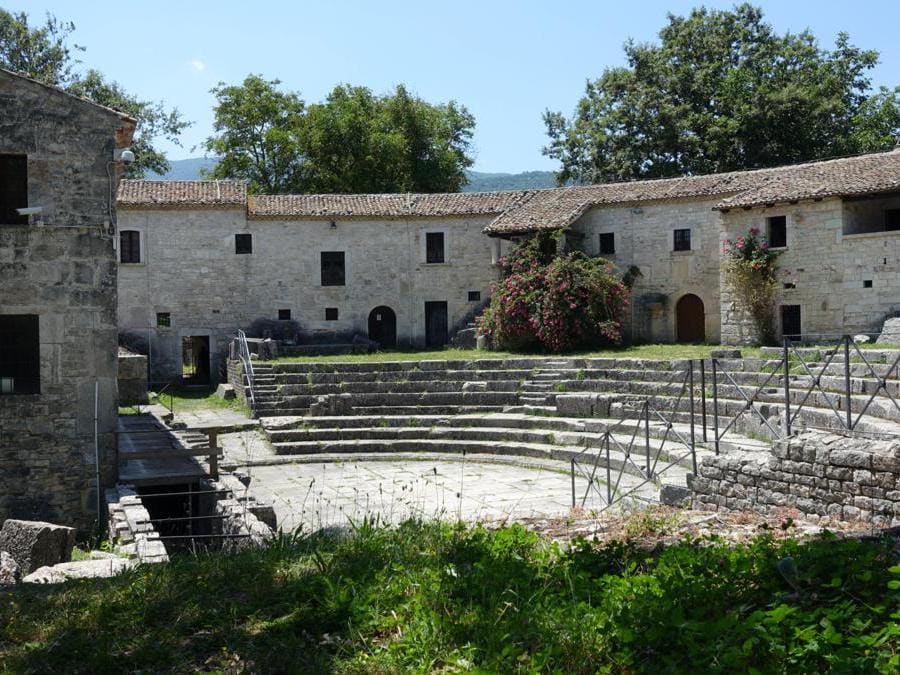 迭戈阿曼多马拉多纳纪录片,小迭戈阿曼多足球怎么样