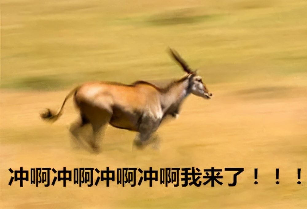 有色弱不知有没有单色识别不全,有色粉可以做什么