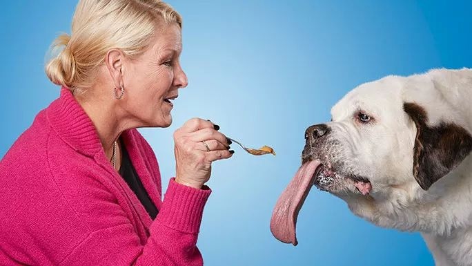 吉尼斯记录体型最大的狗,吉尼斯世界纪录最大的狗狗