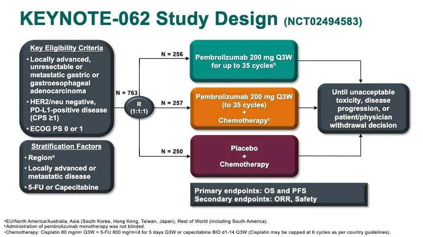 细胞疗法跟免疫疗法有区别吗,细胞治疗与免疫治疗的区别