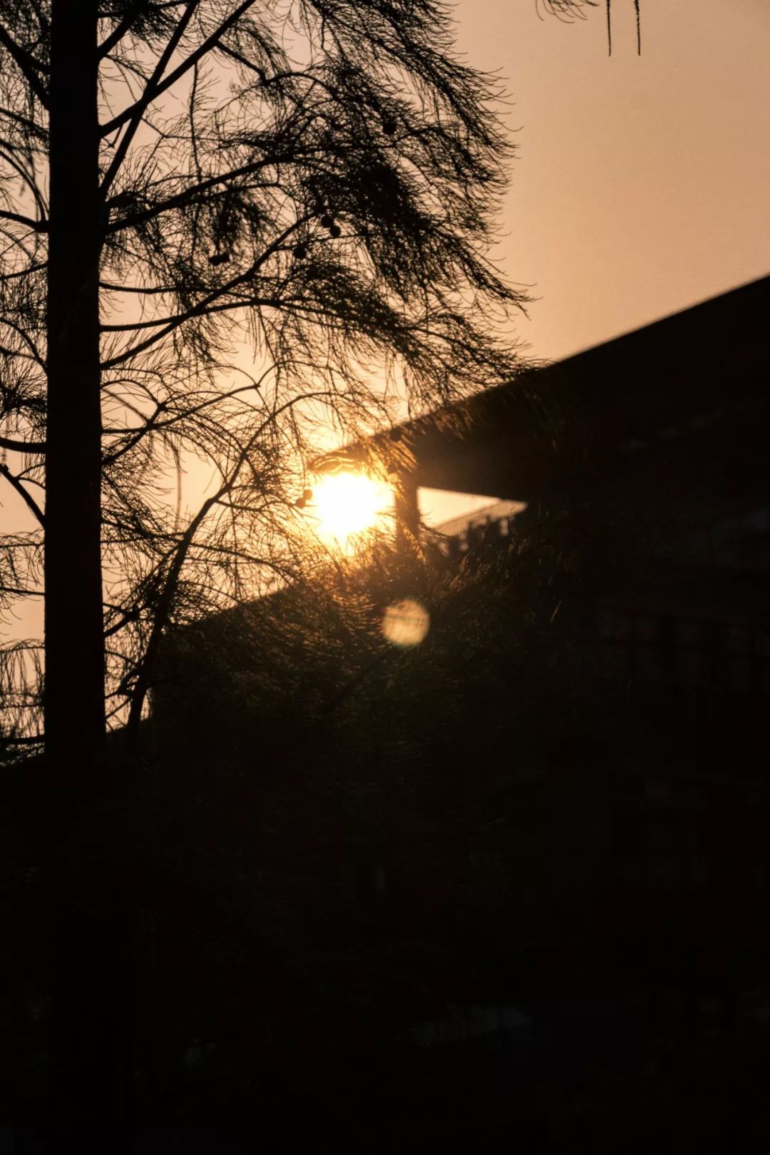 深圳风景最好的岛,深圳有个什么旅游岛