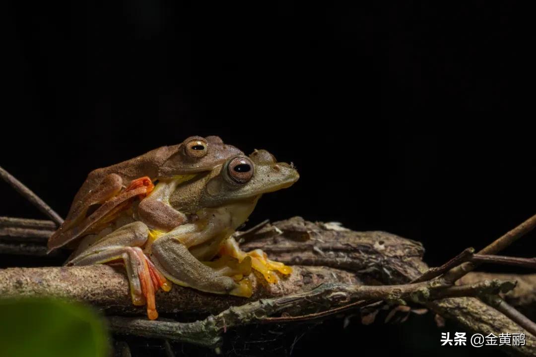 为什么云南女人长相好看,云南真的很漂亮吗
