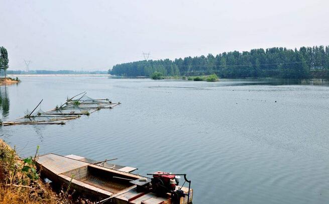 池塘养鱼常见九个问题及处理方法,池塘养鱼对水质的要求