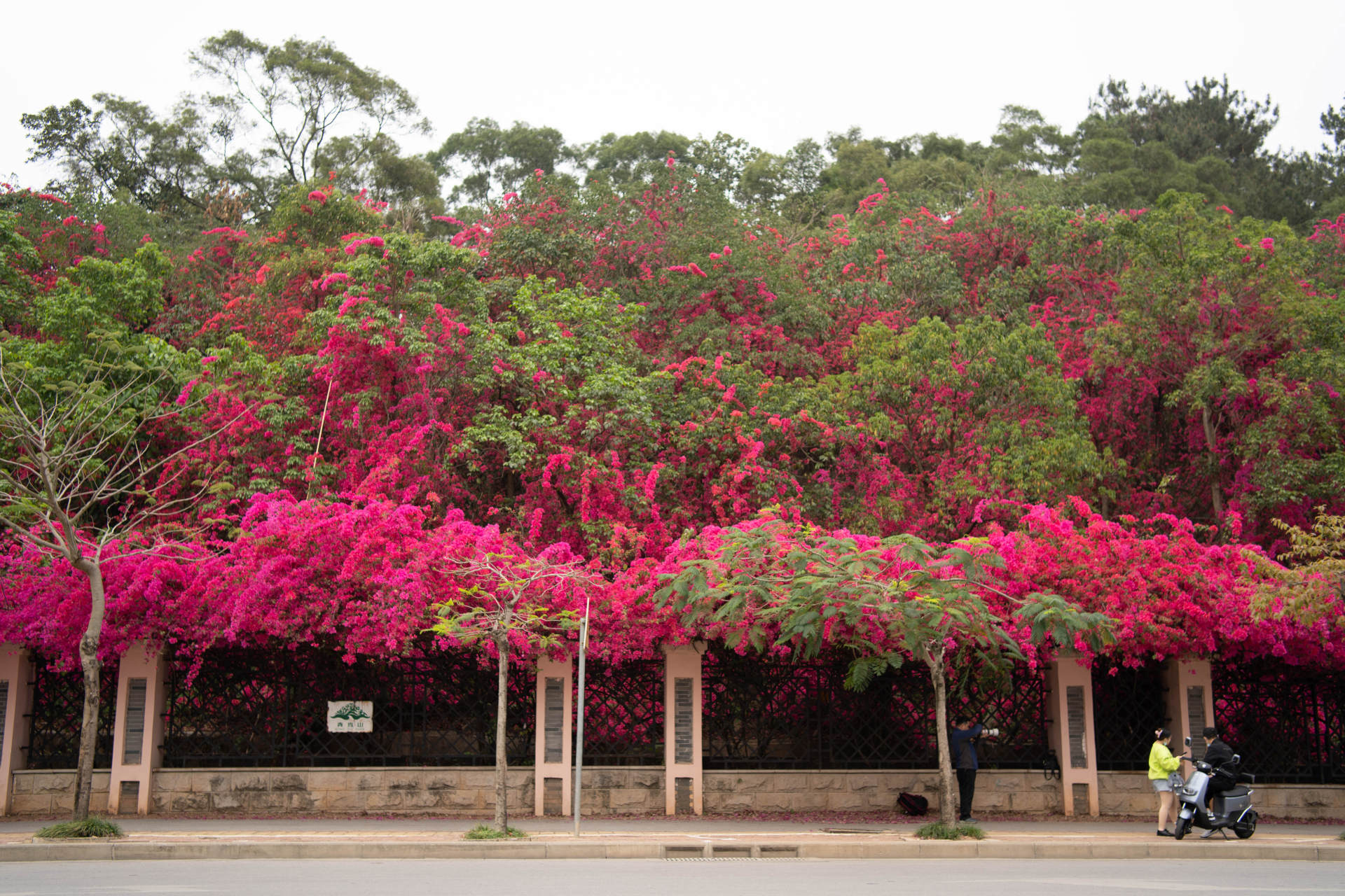 索尼定焦镜头性价比推荐,索尼35mm定焦推荐国产