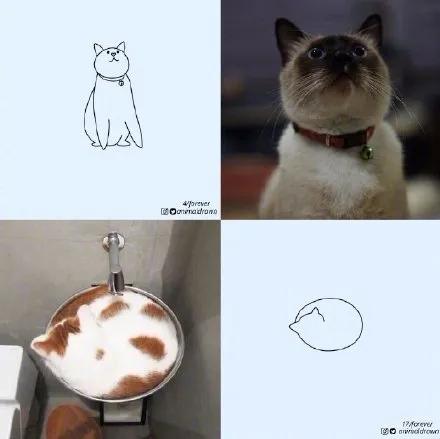 一波可爱动物简笔画,超火的简笔画动图