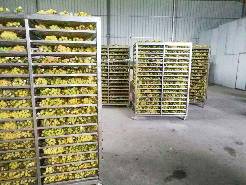 葡萄干很便宜可以吃吗,乌鲁木齐哪种葡萄干最好吃