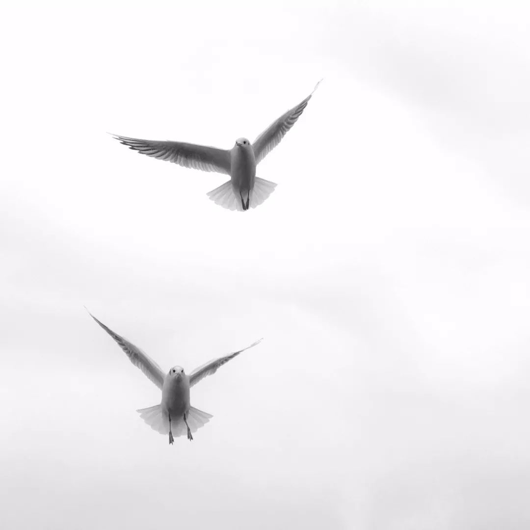 iphone手机拍照操作指南,iphone实况拍照有什么用