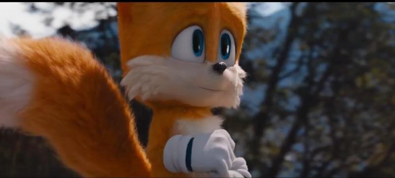 可爱刺猬索尼克,刺猬索尼克本来样子