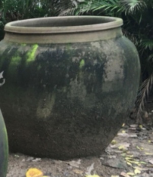 鎵ｉ粍槌濈殑鐪熷疄瑙嗛,鍦ㄥ閲屾墸榛勯碀