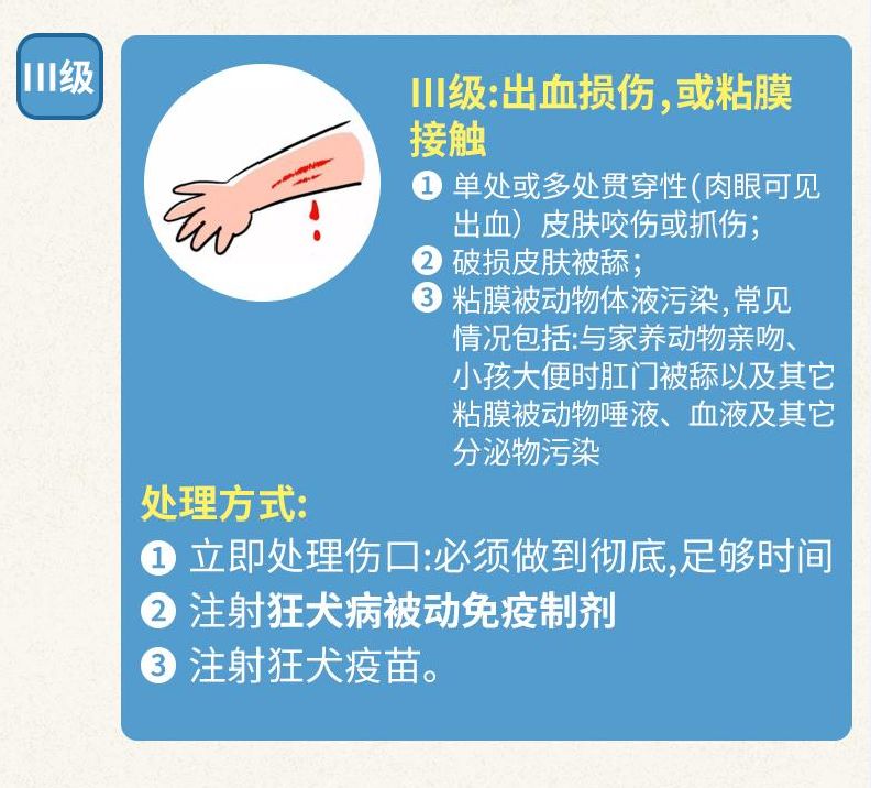 关于狂犬病你不得不知的几个问题,关于狂犬病需要知道的二三事