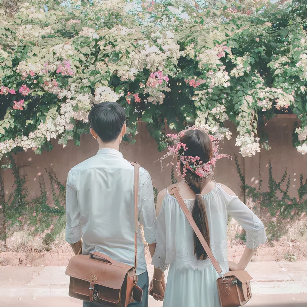 青春被打磨得斑驳，与他相遇的片段，只剩好似绯红的木槿花的爱情