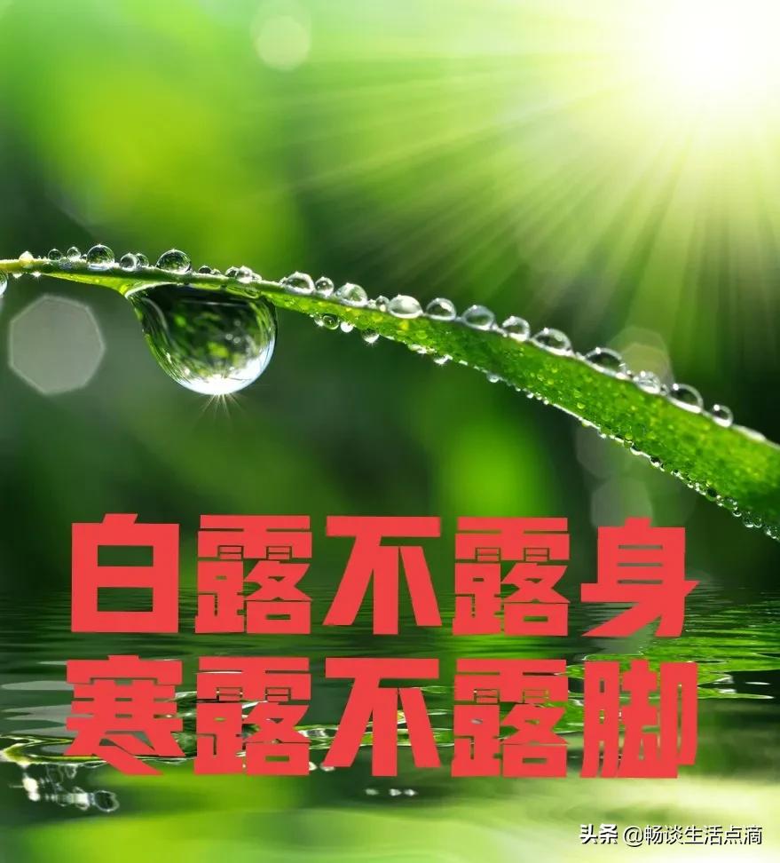 处暑不露身寒露不露脚是什么意思,白露不露肉寒露不露脚