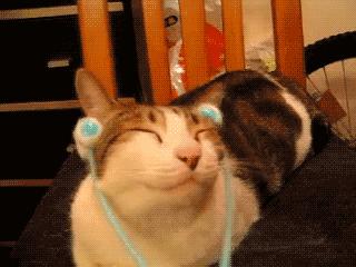 微信文件已过期或已清理怎么恢复,什么情况下微信文件会过期