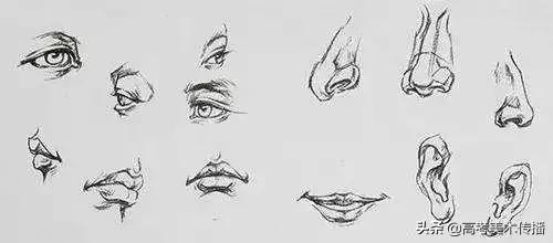 速写五官技法,速写五官的画法精讲