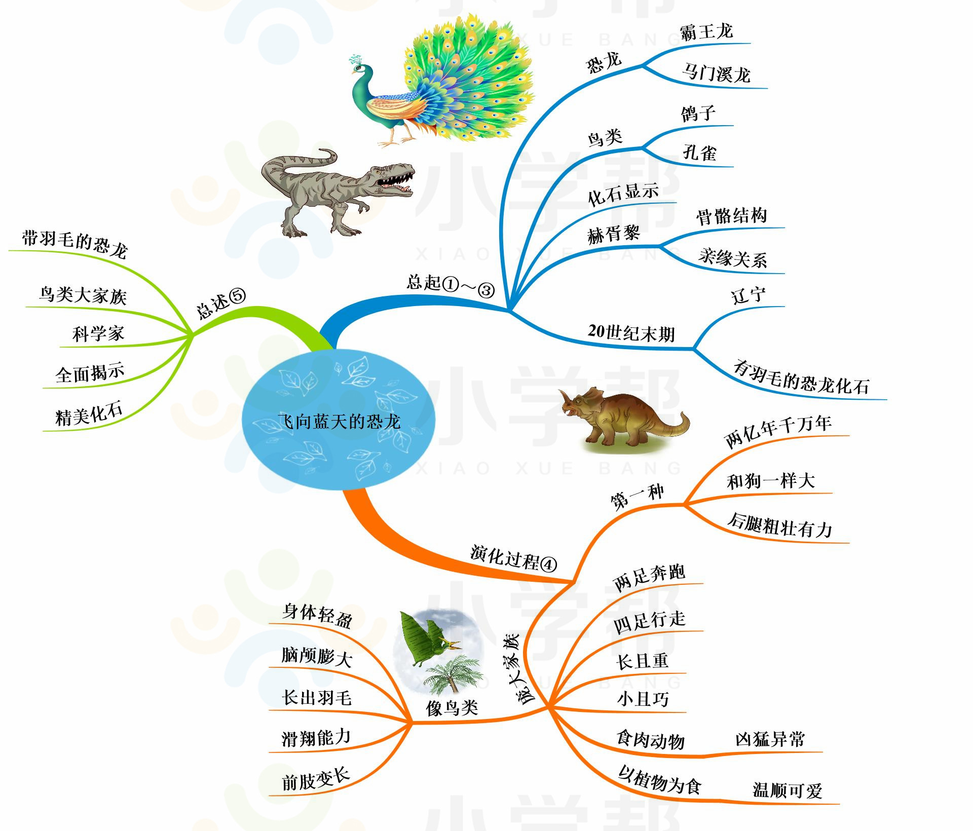 新部编版小学六年级语文思维导图,部编版1-6年级语文上册思维导图