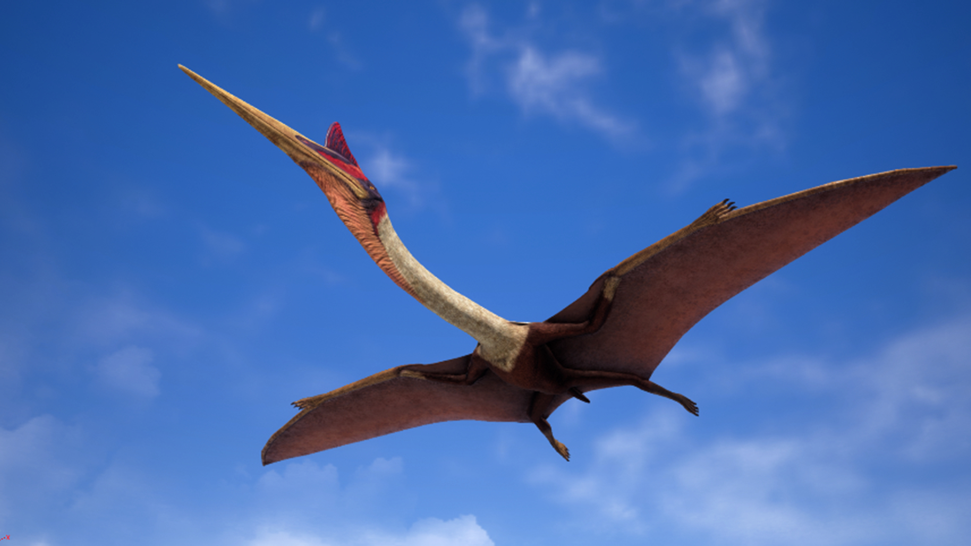 巨齿鲨vs沧龙vs帝鳄vs托斯特巨鱿,比巨齿鲨还可怕的10个史前生物