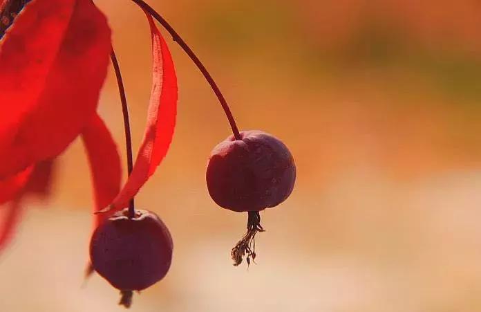 人生遇贵人的经典语录短句,经典语录人生贵人