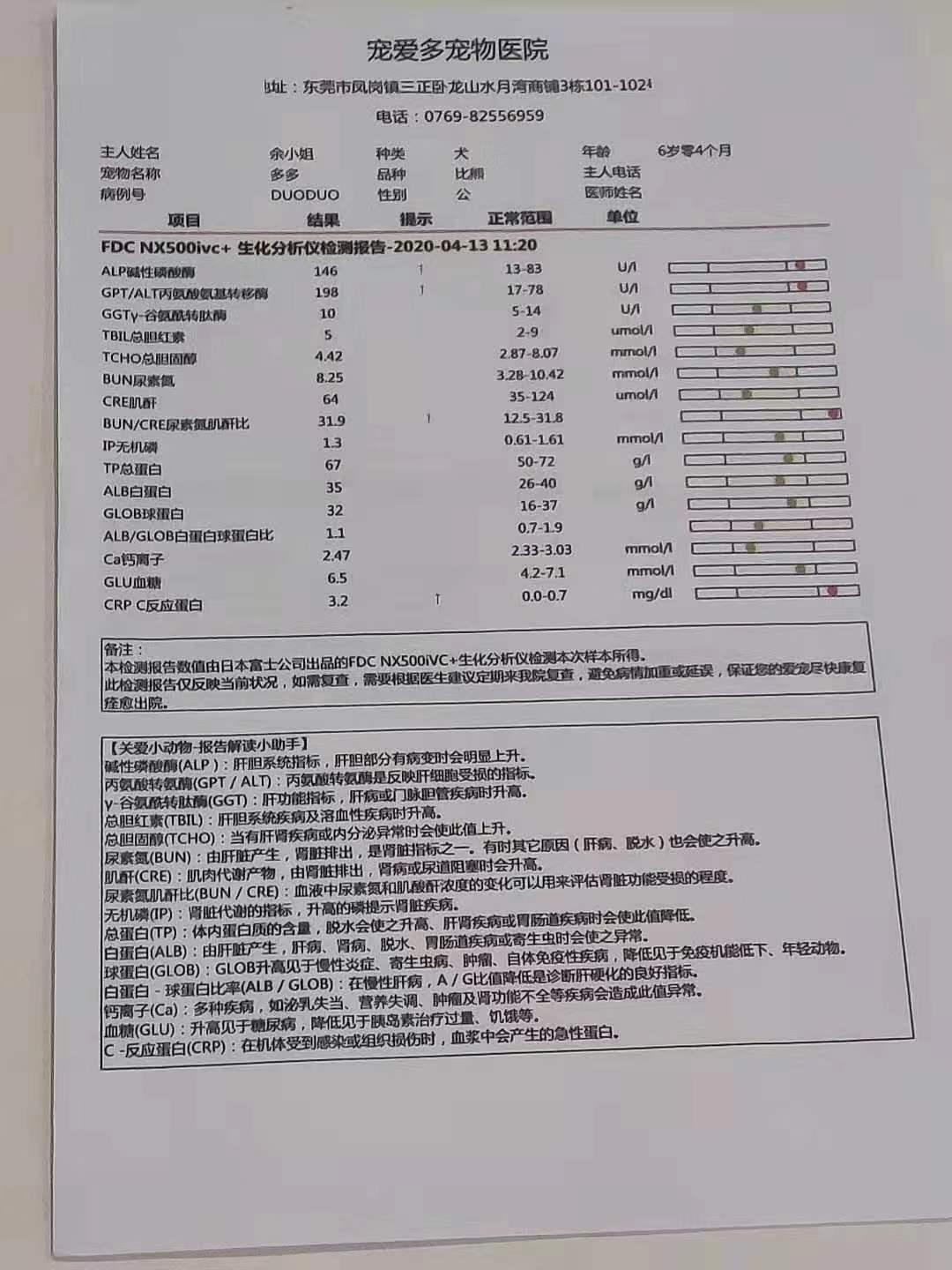 拜耳宠物杀虫,拜耳杀虫对宠物有害吗
