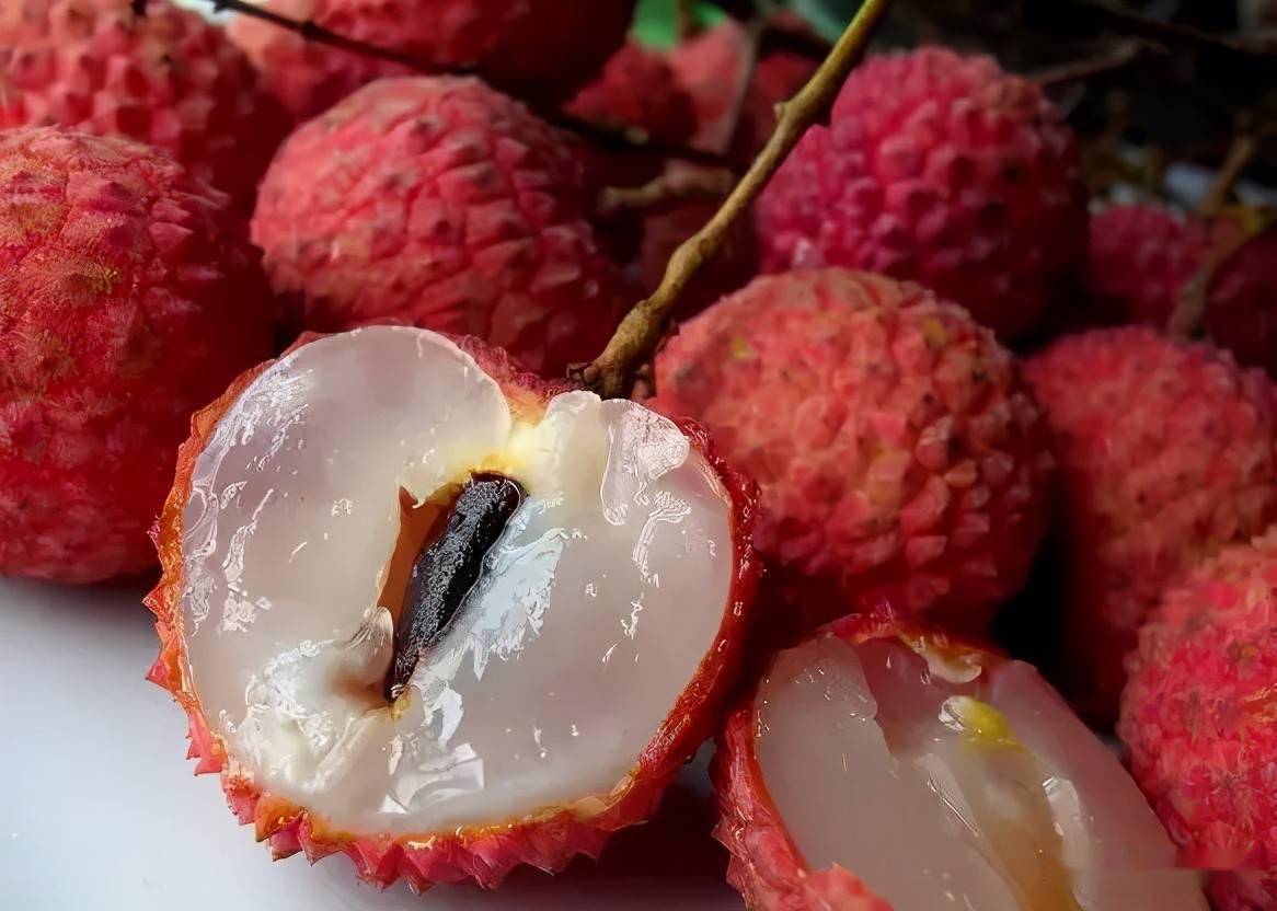 杨贵妃吃的荔枝从什么地方来,杨贵妃吃的荔枝产自哪里