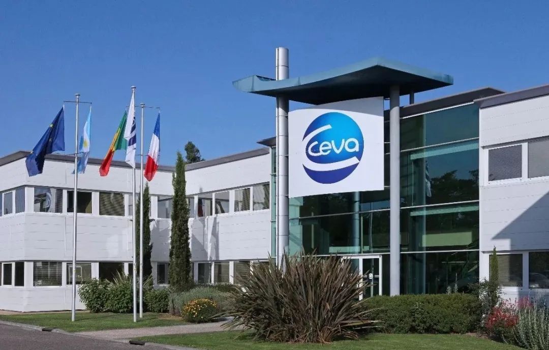 诗华郭刚李冉：规模牧场21天怀孕率如何再提高