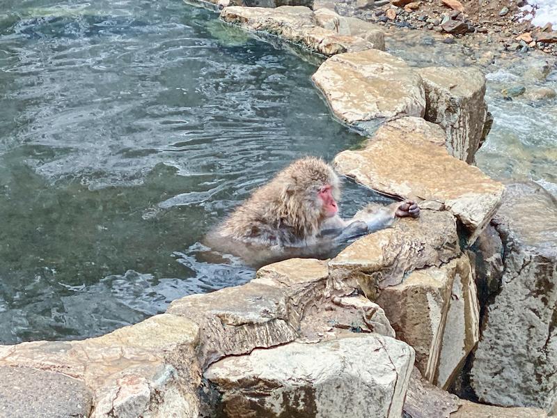 日本小众路线冬,日本冬天观光公路