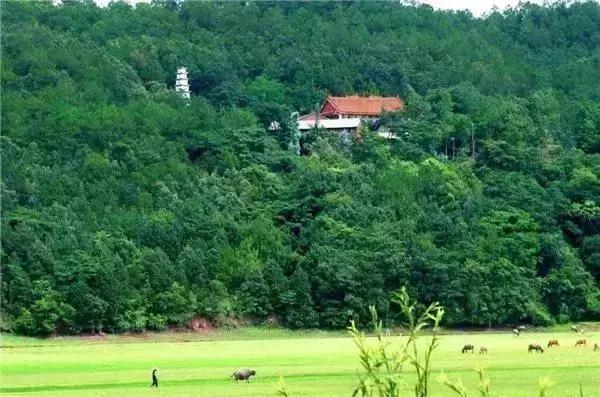 楚雄附近免费露营地有山有水,昆明到楚雄方向一个小时露营地