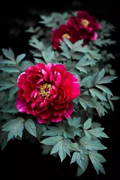 中国文化博大精深极其富有韵味,中华文化博大精深有什么特殊之处