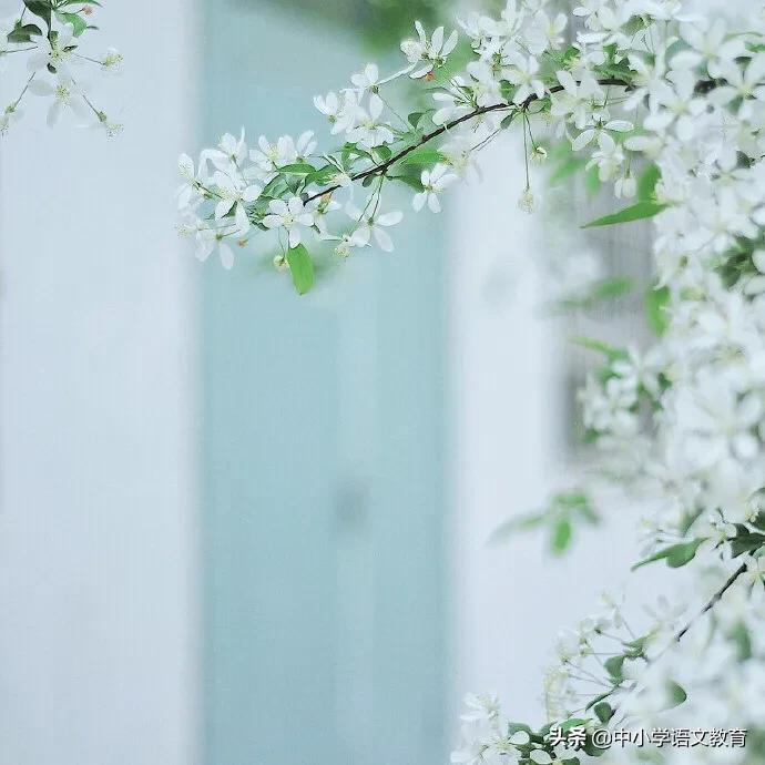 每日一课文言文阅读,每日一课寒假预习