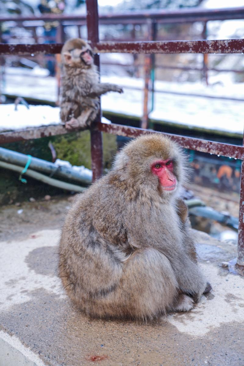 日本小众路线冬,日本冬天观光公路