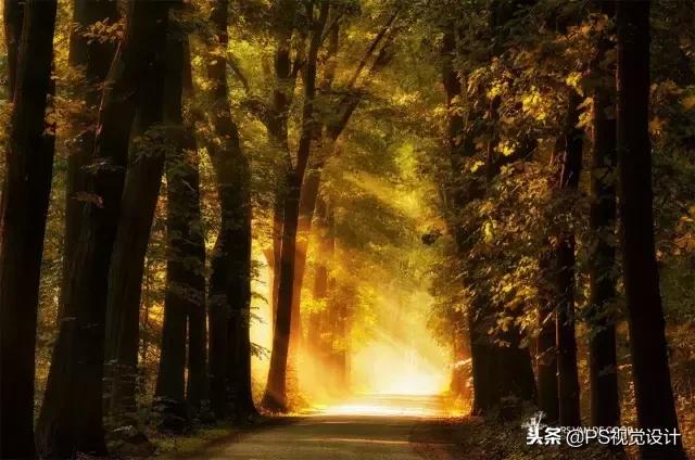 冷门色彩知识大全,色彩知识解读