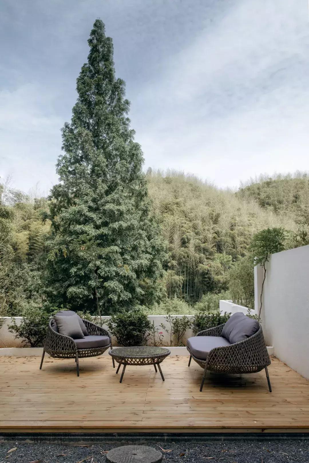 深山废弃的五星级酒店,一个被7万亩竹海包围的树屋酒店