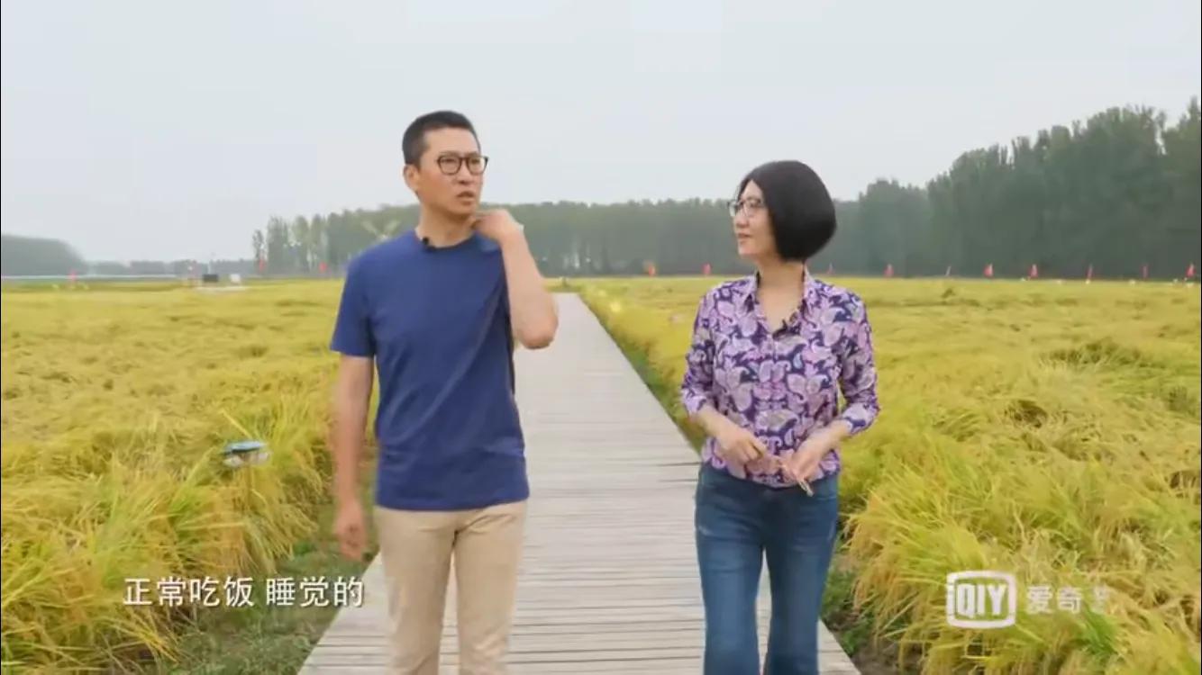 林心如尔康之间有什么矛盾,尔康吻林心如