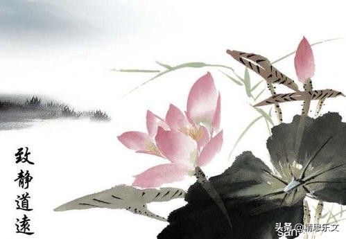 生活需要艺术来点缀的下一句,生活需要艺术来点缀