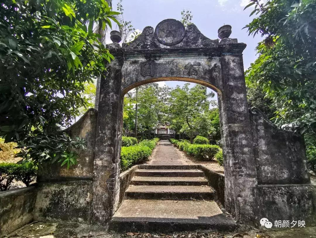 岐阳梧桐起凤环，鹭兮鹭兮寻不见（上）