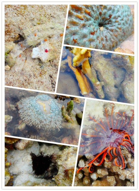 小众蜜月度假地点推荐,小资蜜月旅游去哪里最好