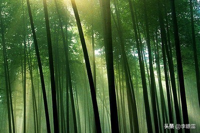 100%的人不知道的小秘密,不可思议的科学人体的奥秘