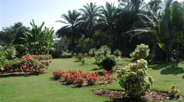 云南旅游最美的十大5a级景点,云南旅游全攻略5a景点