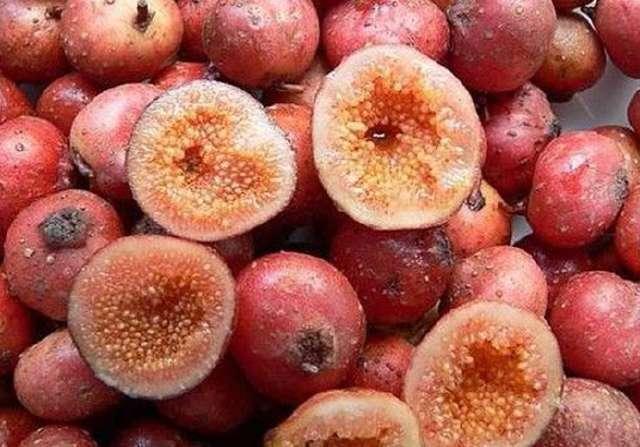 人称“地石榴”，儿时常挖来吃，如今20元一斤，又是炒作吗？