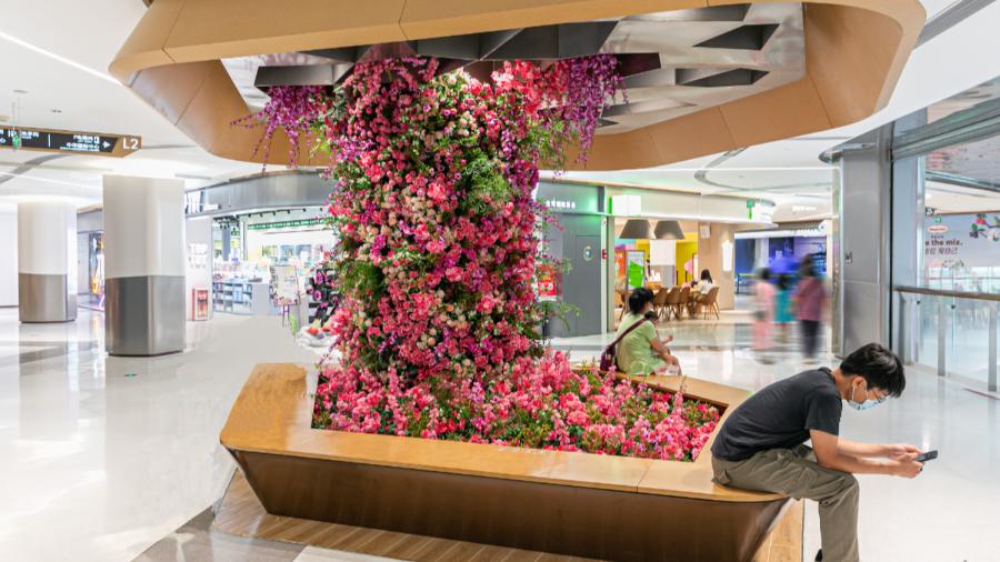 太会撩了！「中华广场」浪漫告白地，七夕的又一个新选择