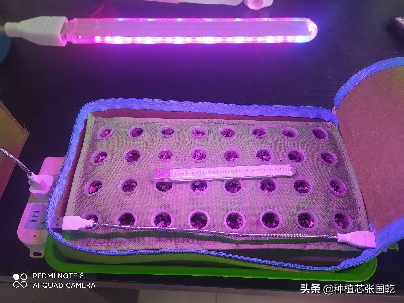 智慧农业创新创业大赛项目推荐,农业创新创业案例分享