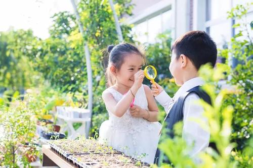 辽宁省小学的3朵“霸王花”，实力强，含金量高，有你的母校吗？
