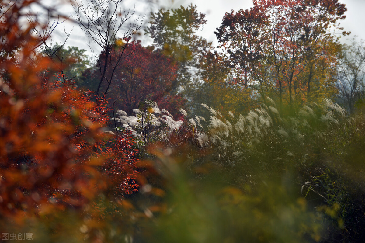 播音艺考自备稿件散文男生,表演艺考自备稿件散文男生专用